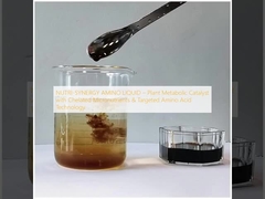 NUTRI-SYNERGY AMINO LIQUIDO ¢ Catalisador metabólico vegetal com micronutrientes quelados e tecnologia de aminoácidos direcionados