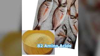 Boost Crops 82% Fertilizante Orgânico de Aminoácidos