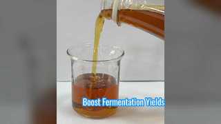 Aumentar a fermentação produz proteína enzimática de soja