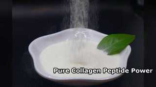 Produto comestível de peptídeo de colágeno puro de 90 por cento