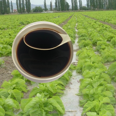 Hydrolysate Protein Amino Acid Liquid 30% With 6% Organic Nitrogen Fertilizer for Plant Nutrition