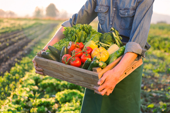 BioVita Total Amino Acid 80% – Precision Engineered Plant Nutrition for Specialty Crops & Organic Export