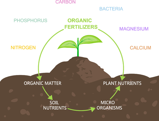 BioVita Total Amino Acid 80% – Precision Engineered Plant Nutrition for Specialty Crops & Organic Export