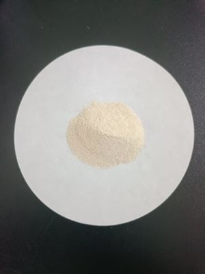 Plant Based Soy Protein Hydrolysate 85% Amino Acid Powder For Liquid Formulation Raw Material