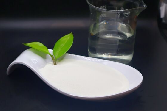 High Purity Bovine Collagen Peptide with 97.6% Protein, 9.9% Hydroxyproline, and Low MW <3000 Da for Enhanced Bioavailability