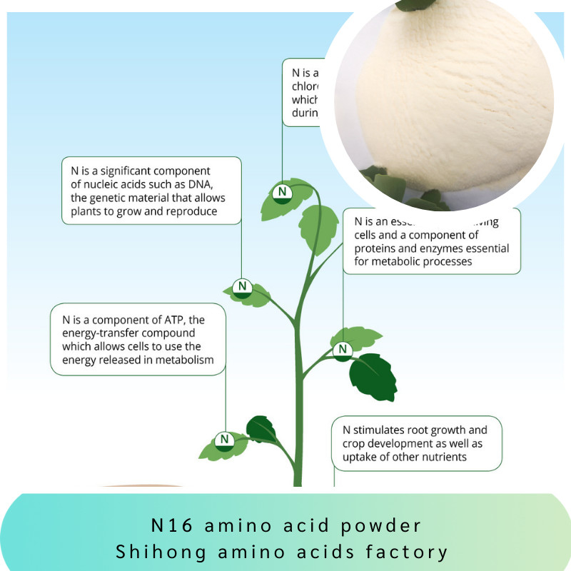 N16 85% Peptides Amino Acid Powder Fertilizer Chloride Free 65072-01-7 For Plants Durian Yield And Growth